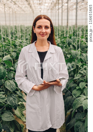 Vertical portrait. Laboratory female worker woman researcher examines foliage of a growing bell pepper, analyzes, plant research with hydroponic system. Growing organic vegetables in greenhouse Vertical portrait. Laboratory female worker woman researcher examines foliage of a growing bell pepper, analyzes, plant research with hydroponic system. Growing organic vegetables in greenhouse 116651665