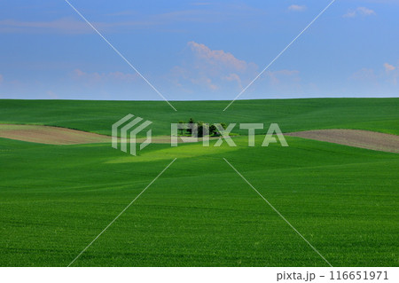 中央ヨーロッパのチェコ共和国南モラヴィア州　ローリングヒルズ展望台付近のモラヴィア大草原の丘陵の景色 116651971