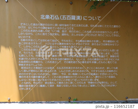 ずらりと並んだ色々な顔の石仏、加西市の北条の五百羅漢ごひゃくらかん、説明文 116652187