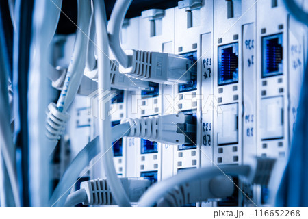 Detail of server room with patch cables 116652268