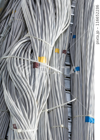detail of large number of ethernet cables tied together connecting racks inside server room 116652286