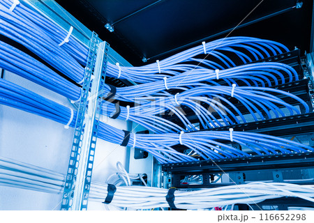bunch of patch network cables sorted in rack cabinet, leading from patch panel in the server rack in the data center room bunch of patch network cables sorted in rack cabinet, leading from patch panel in the server rack in the data center room 116652298