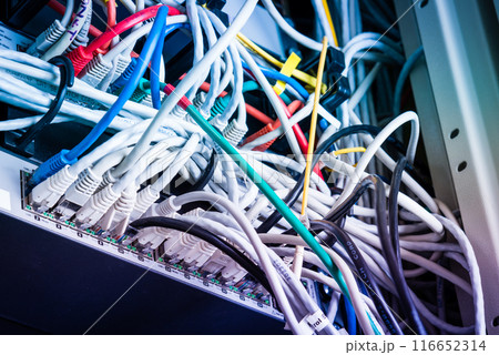various ethernet cables plugged in network switch 116652314