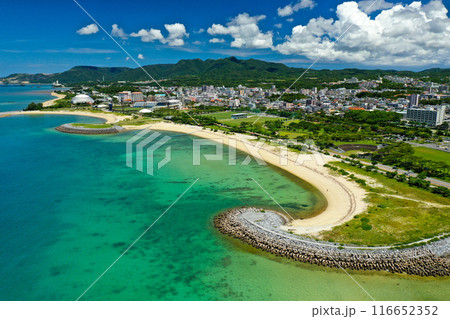 沖縄本島北部 名護市 21世紀の森公園ビーチ 沖縄本島北部 名護市 21世紀の森公園ビーチ 116652352