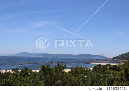神戸須磨シーワールド　神戸市須磨区　須磨海浜公園駅　JR神戸線　夏休み　水族館　熱帯魚　魚介類 116652428