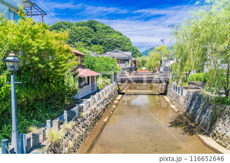 【静岡県】下田市のペリーロード 夏 【静岡県】下田市のペリーロード 夏 116652646