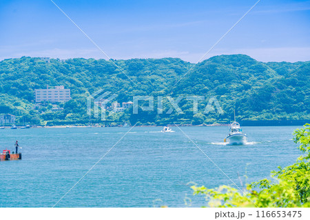 【静岡県】下田港　入港する船舶 116653475