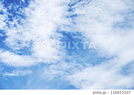 夏の空 青空 晴れ 空素材 【東京都】 116653507