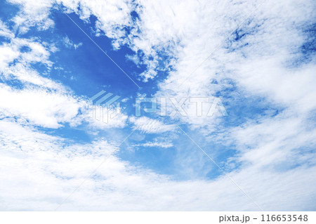 夏の空 青空 晴れ 空素材 【東京都】 116653548
