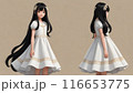 ドレスを着た少女の全身 116653775