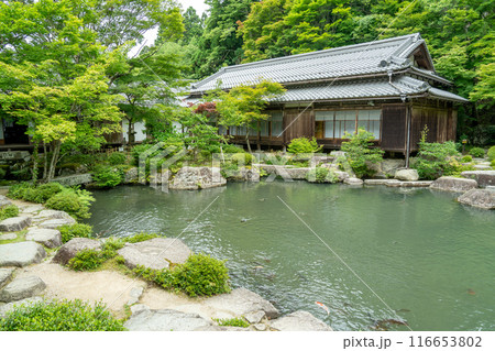 滋賀県東近江市　新緑の百済寺の池泉回遊式庭園と池 116653802