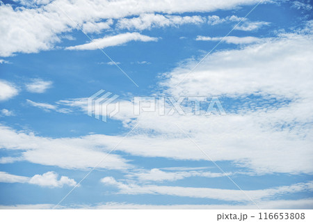 夏の空 青空 晴れ 空素材 【東京都】 夏の空 青空 晴れ 空素材 【東京都】 116653808