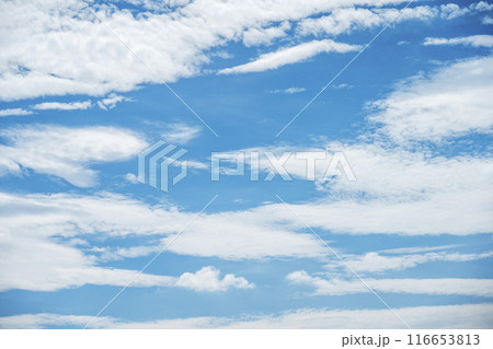 夏の空 青空 晴れ 空素材 【東京都】 116653813