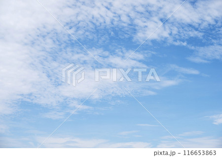 夏の空 青空 晴れ 空素材 【東京都】 夏の空 青空 晴れ 空素材 【東京都】 116653863