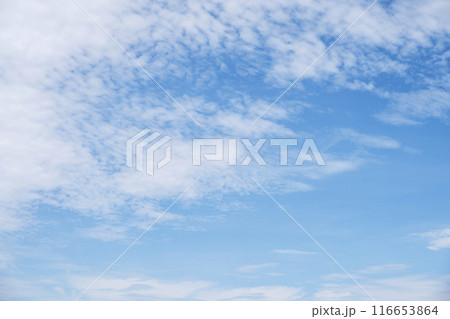 夏の空 青空 晴れ 空素材 【東京都】 116653864