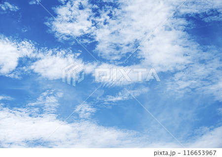 夏の空 青空 晴れ 空素材 【東京都】 116653967