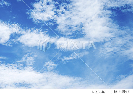 夏の空 青空 晴れ 空素材 【東京都】 116653968
