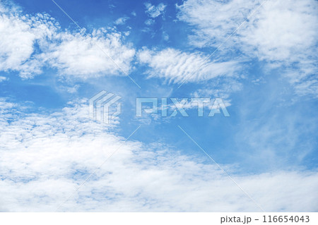 夏の空 青空 晴れ 空素材 【東京都】 116654043