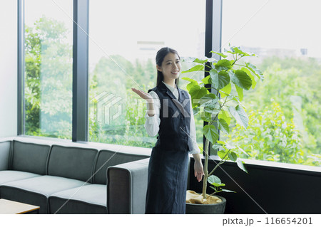 案内をする女性 116654201