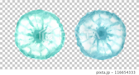 Blue green jellyfish set. Watercolor fuzzy and blurry figures like as abstract citrus slices or flowers. Top view. Animal clip art. Sea illustration. For cheerful and fresh design, kid stationery 116654333