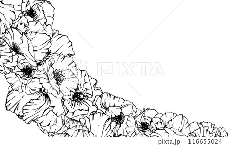 Hand drawn vector graphic botanical illustration flowers leaves. Red poppy papaver, stems buds seedpods. Border frame isolated on white background. Design wedding, cards, remembrance day stationery. 116655024