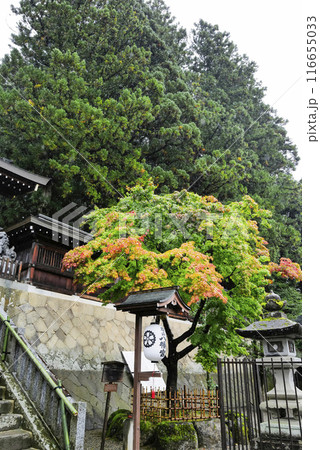 飛騨高山 雨の桜山八幡宮 飛騨高山 雨の桜山八幡宮 116655033