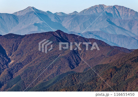 三ツ峠から秋の節刀ヶ岳と南アルプス・聖岳と赤石岳 116655450