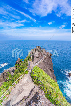 【静岡県】石廊崎　石室神社・突端の熊野神社 116655718