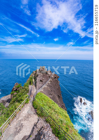 【静岡県】石廊崎　石室神社・突端の熊野神社 116655719