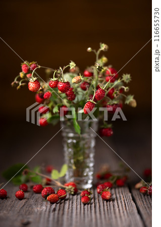 Wild strawberry bouquet with red ripe berries Wild strawberry bouquet with red ripe berries 116655730