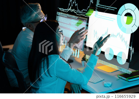 Business Analysts Discussing Data Visualizations on Computer Screens Business Analysts Discussing Data Visualizations on Computer Screens 116655929