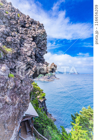 【静岡県】石廊崎 石室神社 【静岡県】石廊崎 石室神社 116656209