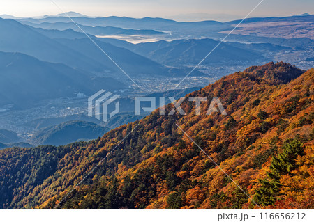 紅葉の三ツ峠稜線から見る朝もやの街並み 紅葉の三ツ峠稜線から見る朝もやの街並み 116656212