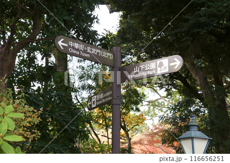横浜観光 横浜 横浜エアキャビン 横浜日本大通り 横浜公園 彼我庭園 横浜みなとみらい 神奈川県庁 横浜観光 横浜 横浜エアキャビン 横浜日本大通り 横浜公園 彼我庭園 横浜みなとみらい 神奈川県庁 116656251