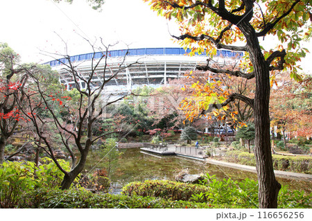 横浜観光 横浜 横浜エアキャビン 横浜日本大通り 横浜公園 彼我庭園 横浜みなとみらい 神奈川県庁 横浜観光 横浜 横浜エアキャビン 横浜日本大通り 横浜公園 彼我庭園 横浜みなとみらい 神奈川県庁 116656256