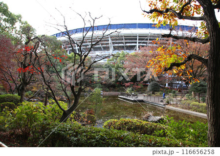 横浜観光 横浜 横浜エアキャビン 横浜日本大通り 横浜公園 彼我庭園 横浜みなとみらい 神奈川県庁 横浜観光 横浜 横浜エアキャビン 横浜日本大通り 横浜公園 彼我庭園 横浜みなとみらい 神奈川県庁 116656258