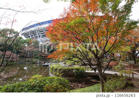 横浜観光　横浜　横浜エアキャビン　横浜日本大通り　横浜公園 彼我庭園　横浜みなとみらい　神奈川県庁 116656263