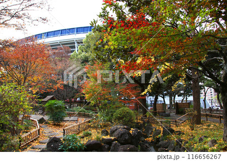 横浜観光　横浜　横浜エアキャビン　横浜日本大通り　横浜公園 彼我庭園　横浜みなとみらい　神奈川県庁 116656267