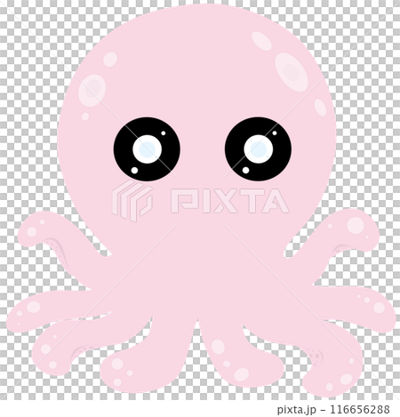Squid  116656288