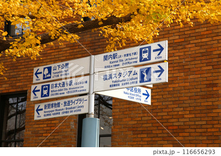 横浜観光 横浜 横浜エアキャビン 横浜日本大通り 横浜公園 彼我庭園 横浜みなとみらい 神奈川県庁 横浜観光 横浜 横浜エアキャビン 横浜日本大通り 横浜公園 彼我庭園 横浜みなとみらい 神奈川県庁 116656293