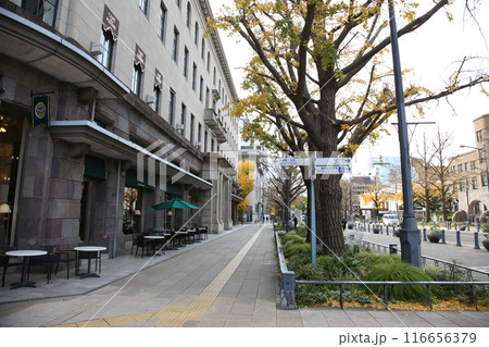 横浜観光 横浜 横浜エアキャビン 横浜日本大通り 横浜公園 彼我庭園 横浜みなとみらい 神奈川県庁 横浜観光 横浜 横浜エアキャビン 横浜日本大通り 横浜公園 彼我庭園 横浜みなとみらい 神奈川県庁 116656379