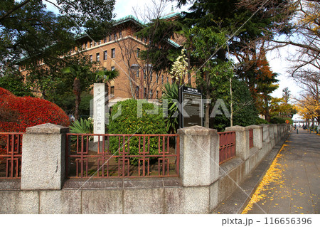 横浜観光 横浜 横浜エアキャビン 横浜日本大通り 横浜公園 彼我庭園 横浜みなとみらい 神奈川県庁 横浜観光 横浜 横浜エアキャビン 横浜日本大通り 横浜公園 彼我庭園 横浜みなとみらい 神奈川県庁 116656396
