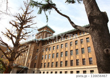 横浜観光　横浜　横浜エアキャビン　横浜日本大通り　横浜公園 彼我庭園　横浜みなとみらい　神奈川県庁 116656467