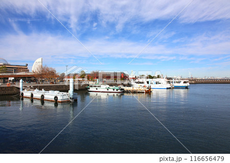 横浜観光　横浜　横浜エアキャビン　横浜日本大通り　横浜公園 彼我庭園　横浜みなとみらい　神奈川県庁 116656479