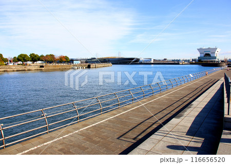 横浜観光 横浜 横浜エアキャビン 横浜日本大通り 横浜公園 彼我庭園 横浜みなとみらい 神奈川県庁 横浜観光 横浜 横浜エアキャビン 横浜日本大通り 横浜公園 彼我庭園 横浜みなとみらい 神奈川県庁 116656520