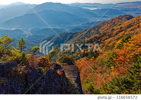 紅葉の三ツ峠稜線から見る朝もやの街並み 116656572