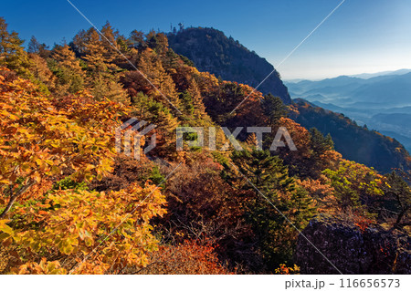 紅葉の三ツ峠・開運山山頂を望む 紅葉の三ツ峠・開運山山頂を望む 116656573