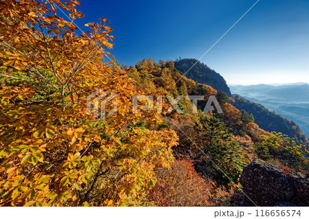 紅葉の三ツ峠・開運山山頂を望む 116656574