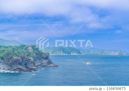 【静岡県】石廊崎の景観と観光船 116656675