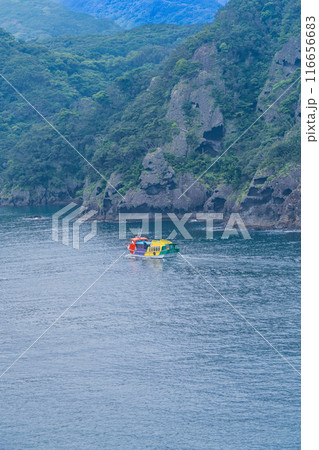 【静岡県】石廊崎の景観と観光船 116656683